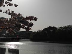 -新江湾城公园
