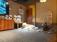 -大江户·温泉洗浴(浑南店)