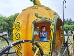 -杭州湾海上花田景区