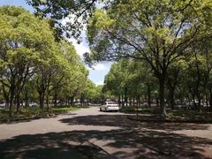 -安飞驰驾校·学车连锁(金高店)