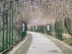 -苏州太湖国家湿地公园