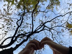 -千年银杏谷文化旅游区