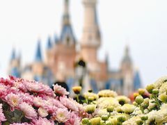 -上海迪士尼度假区