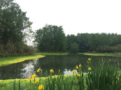 -桤木河湿地公园