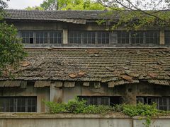 -上海佘山国家森林公园天马山园