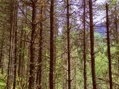 -硗碛藏寨·神木垒景区