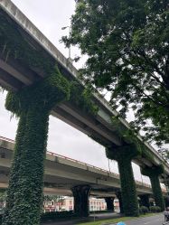 点击看大图 -成都阿难陀艾扬格瑜伽中心