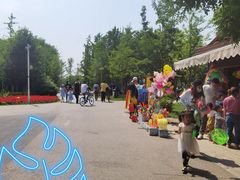 -长白岛森林公园