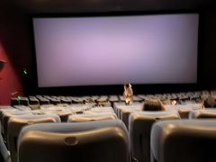 -嘉华国际影城(学清路店)