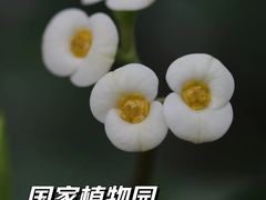 -国家植物园南园