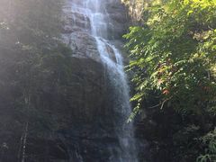 -九龙江国家森林公园