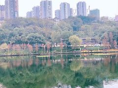 景点-重庆彩云湖湿地公园