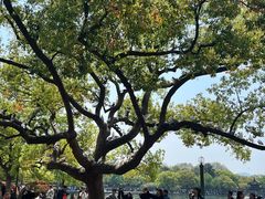 -杭州湖滨银泰in77