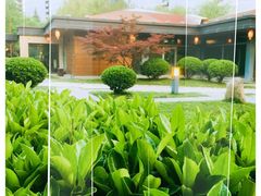 -唐城墙遗址公园