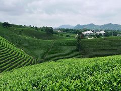 -帐篷客·溪龙茶谷度假酒店