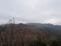 -山王坪喀斯特国家生态公园