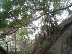 android_upload_pic-乌山风景区