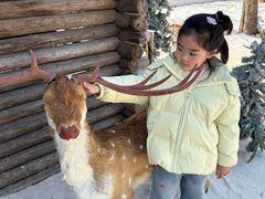 -HERRE·FARM 赫尔露营农场·团建聚会包场