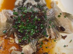 -南麓·浙里(外滩店)