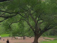 -杭州植物园