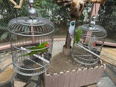 -南宫五洲植物乐园