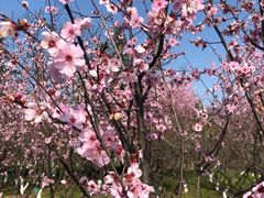 -狼山风景名胜区