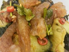 青瓜捞海蜇头-北海渔村酒楼·粤菜海鲜点心(新华店)
