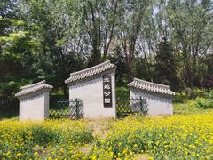 -北坞公园