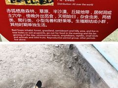 -无锡动物园·太湖欢乐园