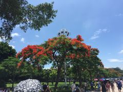 -黄胜记鼓浪屿肉松店(龙头路店)