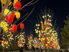 -龙华寺