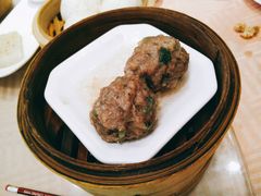 新会陈皮牛肉丸-又一间茶点轩(百汇广场店)