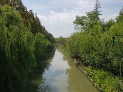 -上海长兴岛郊野公园