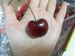 -双福水果批发市场