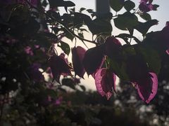-海南文笔峰盘古文化旅游区