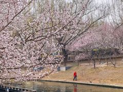 -安定门(地铁站)