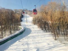 -亚布力新体委滑雪场