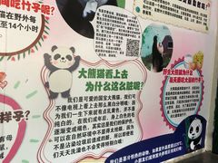-无锡动物园·太湖欢乐园