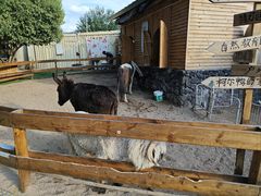 -HERRE·FARM 赫尔露营农场·团建聚会包场