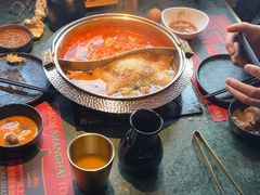 -牛New寿喜烧(金鹰世界店)