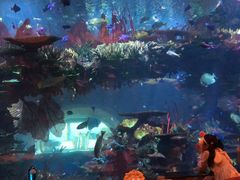 -迪拜帆船酒店海底餐厅