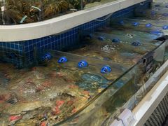-大众海鲜(巨龙北路店)