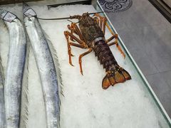 -开海·红岛海鲜虾水饺(石老人店)