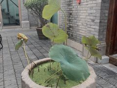 -糖房咖啡(南锣鼓巷店)