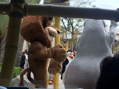 -星光糖果屋