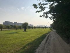 -汉长安城未央宫国家考古遗址公园