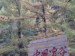 -苏木山森林公园