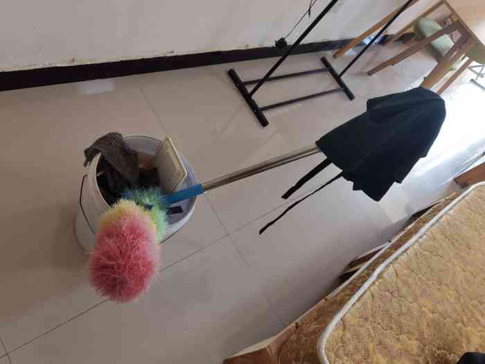 郑州青柚家政-"地毯洗的很干净!服务也很好哦!"-大众点评移动版