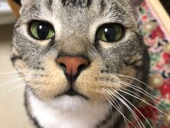 -北京博爱动物医院有限公司