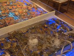 -青岛蓝海御华大饭店（金沙滩店）·蓝钻国际美食自助百汇